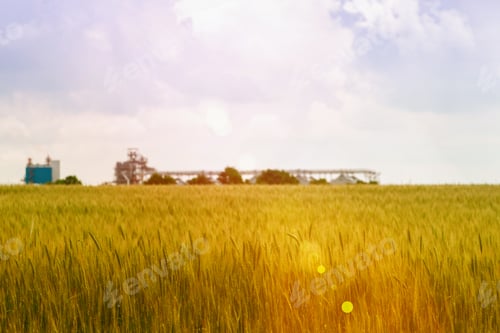 Preview: Wheat fields and elevator