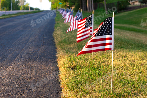 Preview: American flags along a walking path on the 4th of July