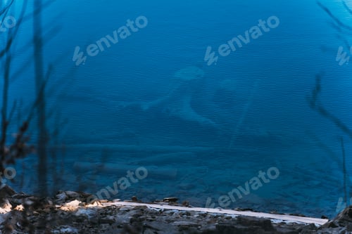 Preview: Sunken tree branches visible through clear blue water of moraine lake