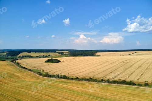 Preview: Aerial landscape view of yellow cultivated agricultural field with ripe wheat on bright summer day