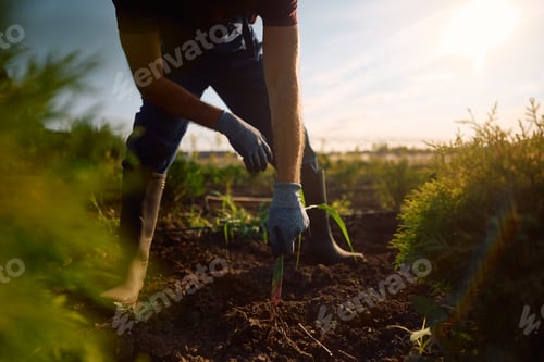 Preview: Close up of man working in the field.