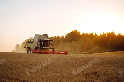 Preview: Combine harvester harvests grain in the field. Agriculture, gardening or ecology concept.