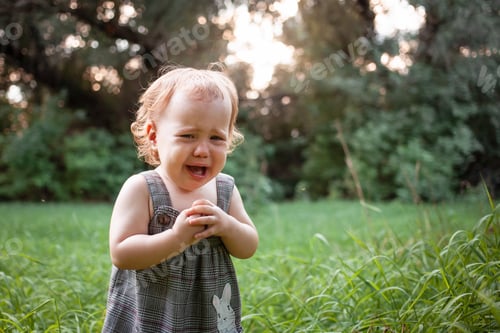Preview: A child in the woods against a backdrop of trees and grass. A one-year-old girl is studying nature