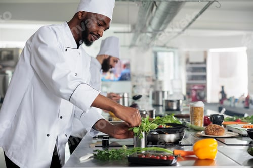 Preview: African american professional head chef picking fresh green herbs to improve gourmet dish taste.