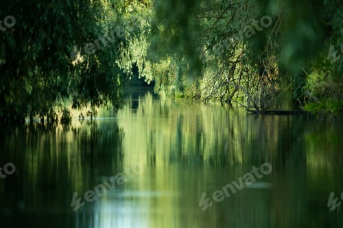 Preview: beautiful bright green summer foliage reflecting in water in the delta