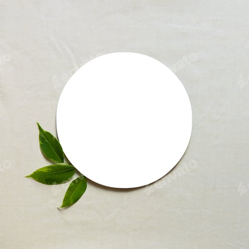 Visualização: Espaço
em branco retangular com folhas verdes frescas. Layer plano, vista de cima. Quadrado.