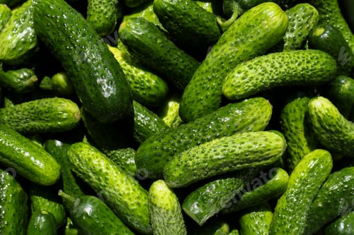 Preview: Fresh ripe cucumbers as background, top view