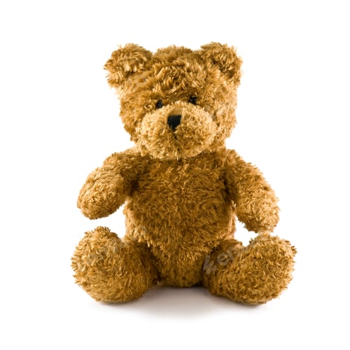 Preview: teddy