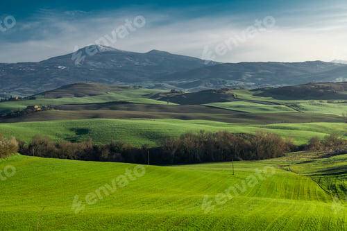 Preview: Wonderful empty green fields