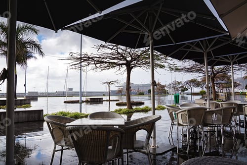 Preview: Urban landscape, embankment. Funchal city street with after rain. Madeira Island