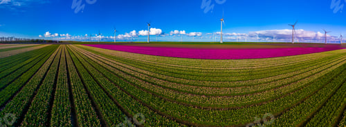 Preview: offshore windmill park with clouds and a blue sky, windmill park in the ocean drone aerial view with