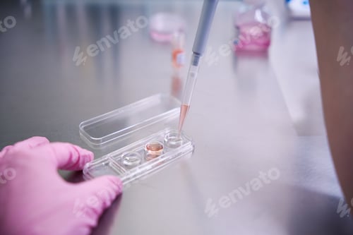 Preview: Close-up of pipetting liquid into a cell culture dish