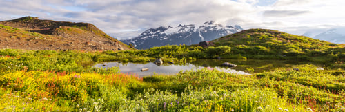 Preview: Mountains meadow