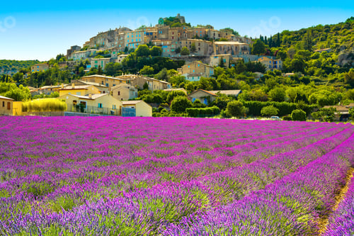 Preview: Simiane la Rotonde village and lavender. Provence, France