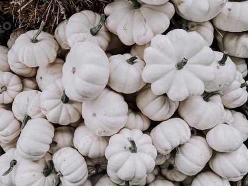 Preview: Pumpkins