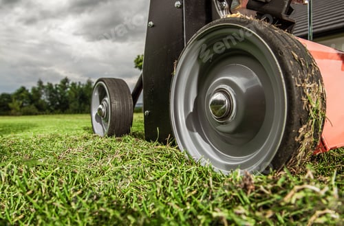 Preview: Grass Lawn Aerator Close Up