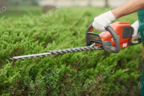 Preview: Close up of gargener trimming bushes