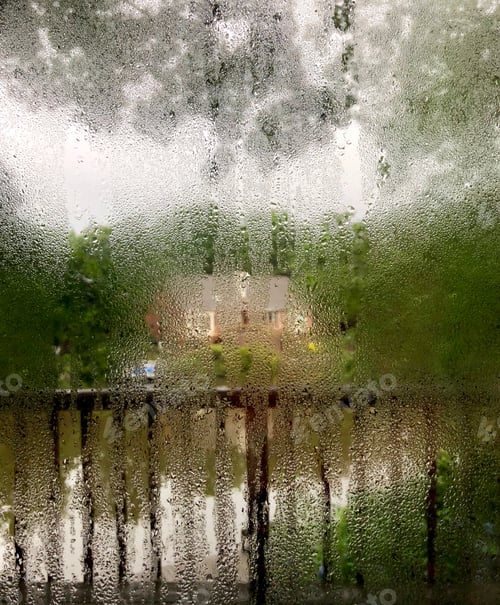 Preview: Condensed window’s view due to different temperatures inside & outside creating an enchanting moment