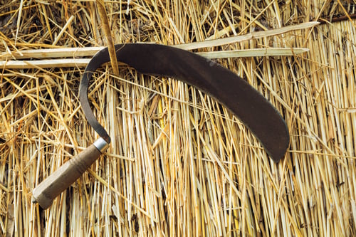 Preview: Close up of a shearing hook on a straw thatched roof.