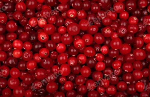 Preview: Fresh red ripe cranberries background top view