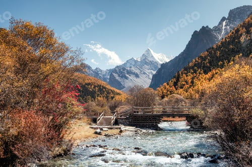 Preview: The Last Shangri-La with Chana Dorje mountain in autumn pine forest