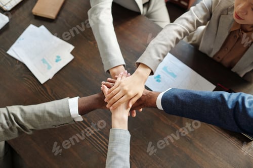 Preview: Multiethnic Middle Aged Business Team Stacking Hands in Unity Gesture Top View