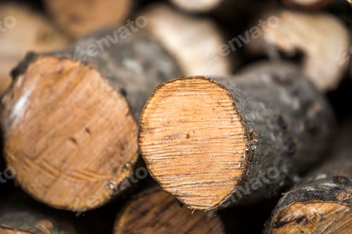 Preview: Neatly piled stack of chopped trunks outdoors on bright sunny day