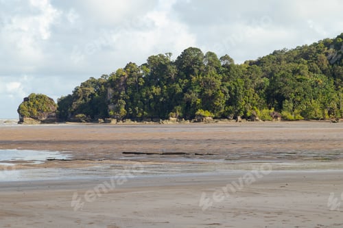 Preview: Bako national park, sea sandy beach, sunny day, blue sky and sea. Vacation, travel, tropics concept