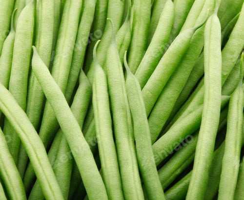 Preview: French Beans