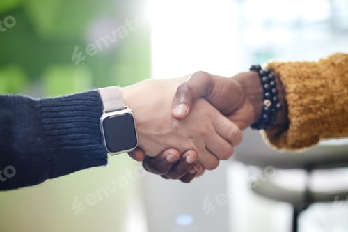 Preview: Caucasian Young Adult Man and Black Young Adult Man Shaking Hands Indoors