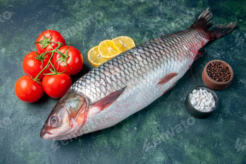 Preview: front view fresh raw fish with tomatoes and lemon slices on dark blue background shark seafood meal
