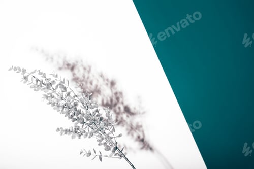 Vista previa: Christmas composition with silver branch.