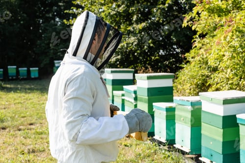 Preview: apiarist in beekeeping suit and helmet with veil holding honeycomb near beehives on apiary