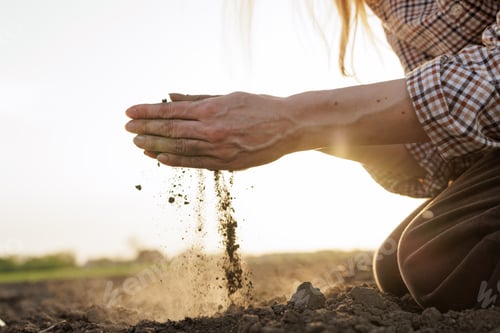 Preview: Hands examining dry soil on farmland at sunset, concept of agriculture and sustainability.