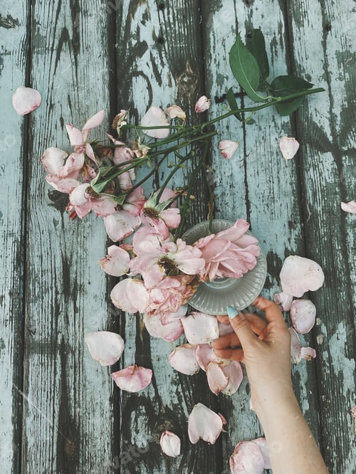 Preview: small coffee cup,on a wooden background, surrounded by female hands and rose petals.delicate colors