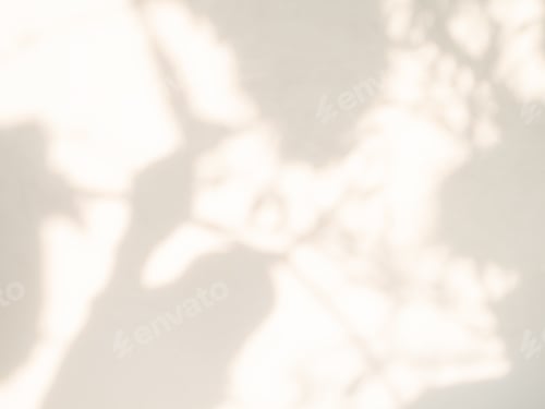 Preview: Beige Background Rose Flower Shadow Abstract Plant Texture Leaf Nature