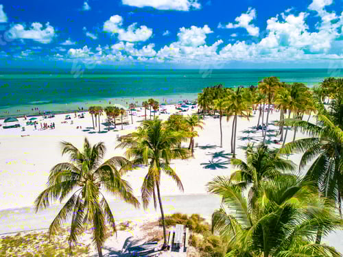 Preview: Beautiful Crandon Park beach in Key Biscayne in Miami