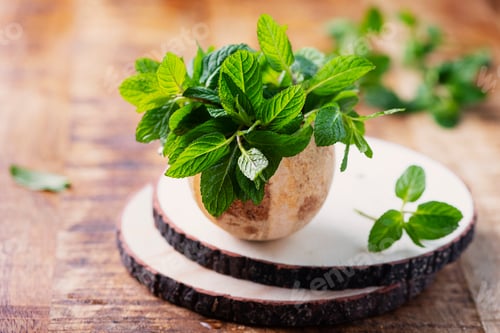 Preview: Fresh green mint leaves