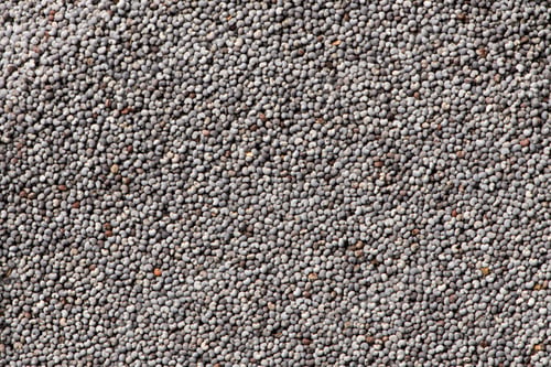 Preview: Poppy seeds macro photo for background