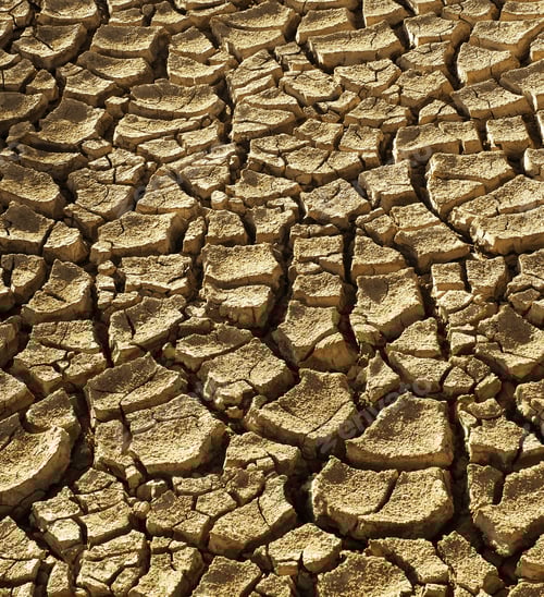 Preview: Arid Cracked Earth in a Parched Landscape