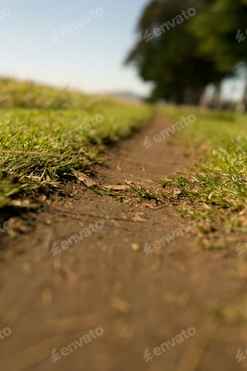 Preview: A closeup view of a narrow path cutting through a grassy field.