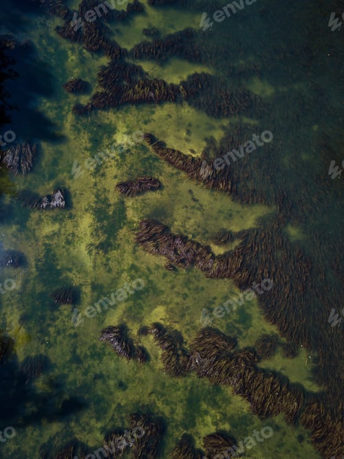 Preview: Aerial view from above down on the green river