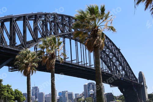 Preview: Sydney Harbour Bridge