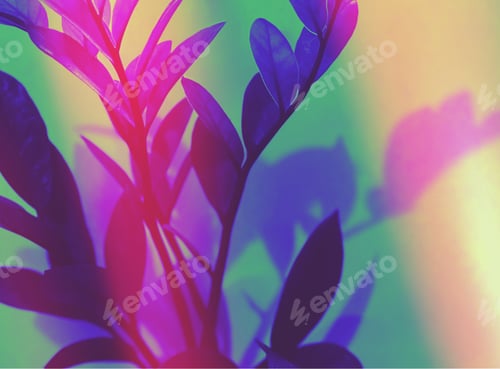 Hojas, luces y sombras
