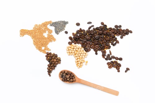 Preview: Map of world made from different kinds of spices