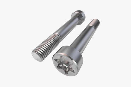 Aperçu: Deux vis en acier inoxydable à tête cylindrique