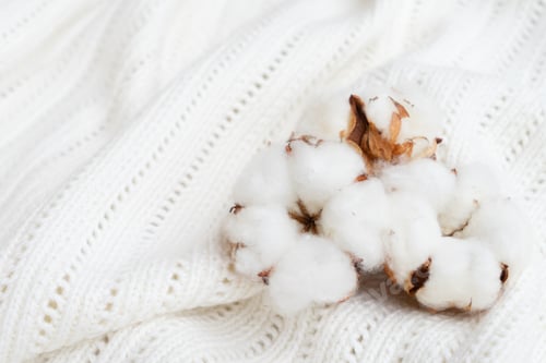 Preview: Raw cotton buds on cotton texture