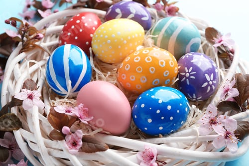Preview: Painted Easter eggs in nest with flowers on color background, closeup