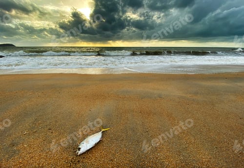 Preview: Seascape