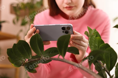Preview: Woman using houseplant recognition application on smartphone indoors, closeup